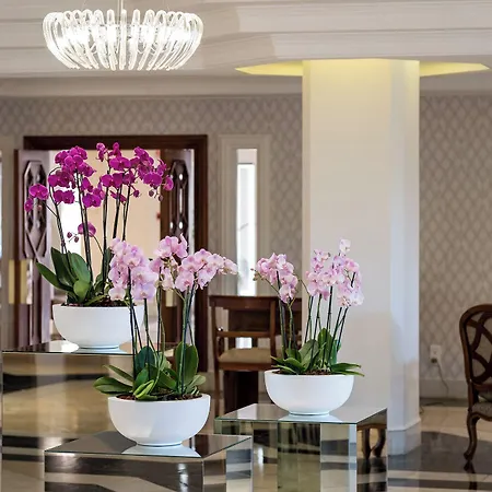 Quinta Do فندق 5*