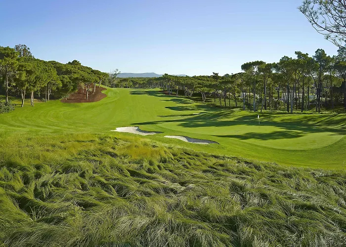 湖滨庄园酒店 酒店 金塔湖